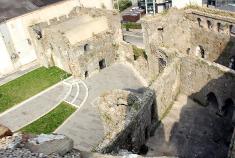 Swansea Castle