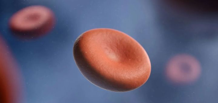 blood Cells